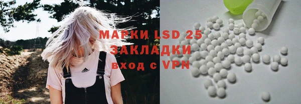 индика Переславль-Залесский