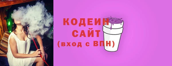 индика Переславль-Залесский